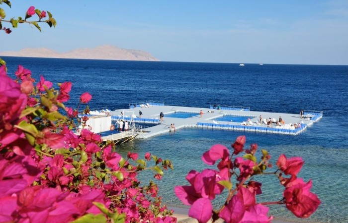 Domina Coral Bay El Sultan 5*